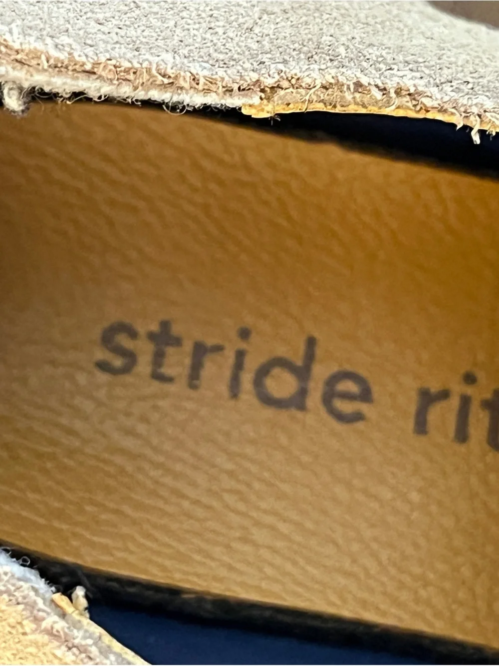 Stride Rite suede chukka